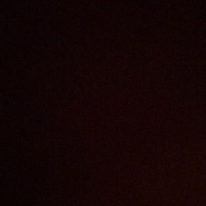 Meet your Posher, Ernesto